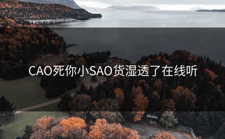 CAO死你小SAO货湿透了在线听