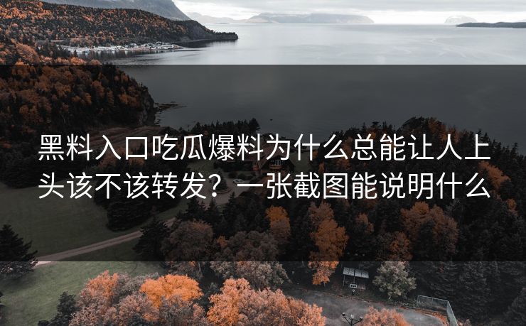 黑料入口吃瓜爆料为什么总能让人上头该不该转发？一张截图能说明什么